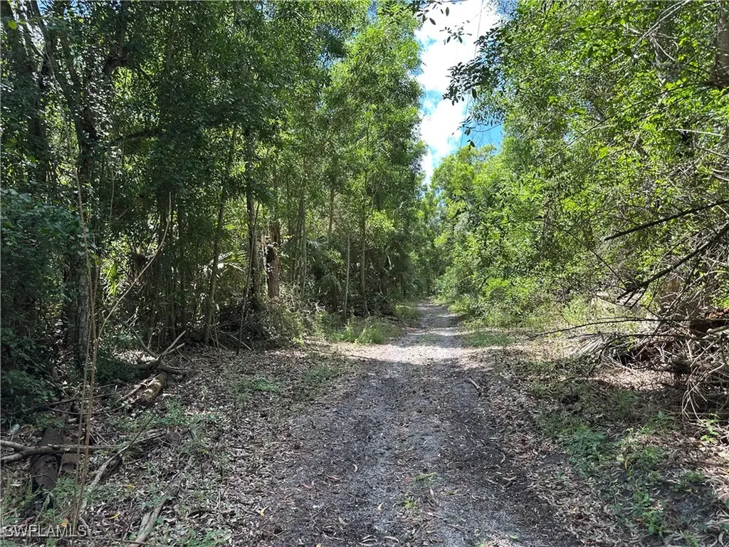 12880 Tower Road Bonita Springs FL 34135