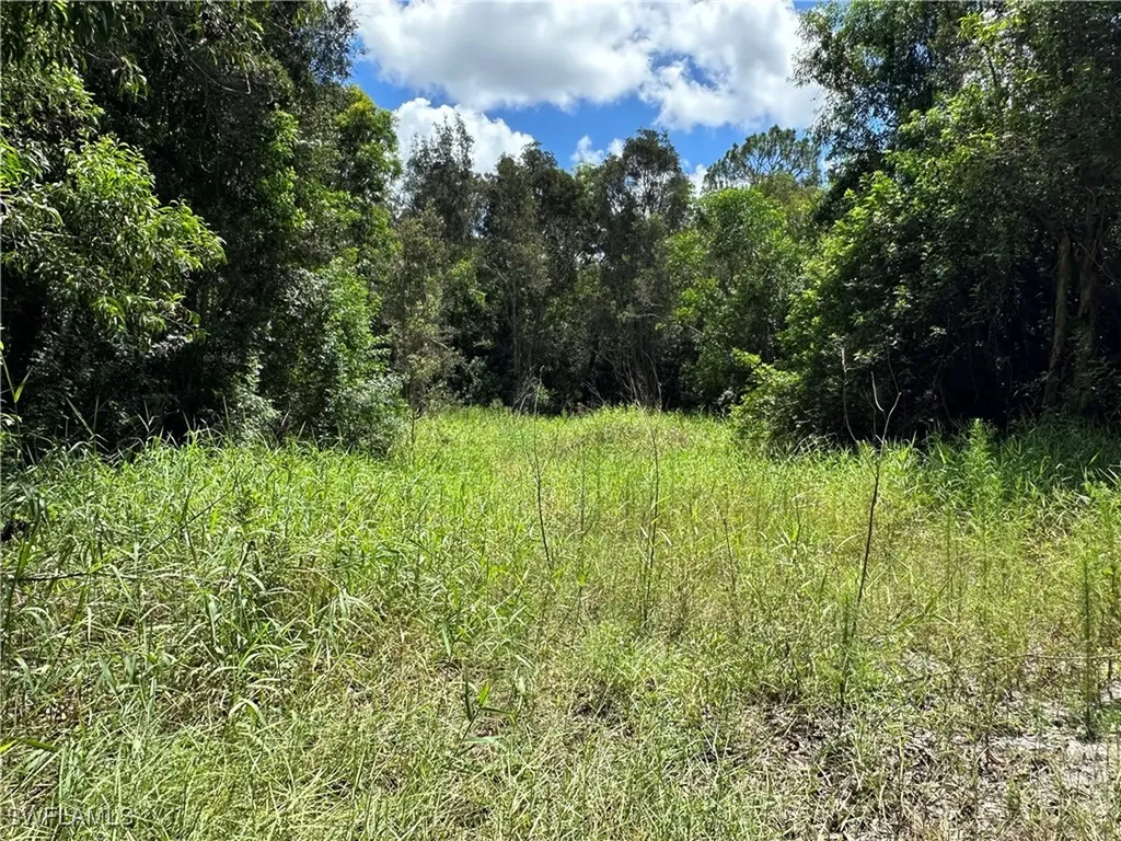 12880 Tower Road Bonita Springs FL 34135