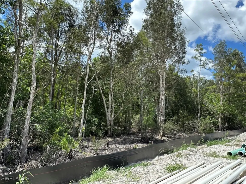 12880 Tower Road Bonita Springs FL 34135