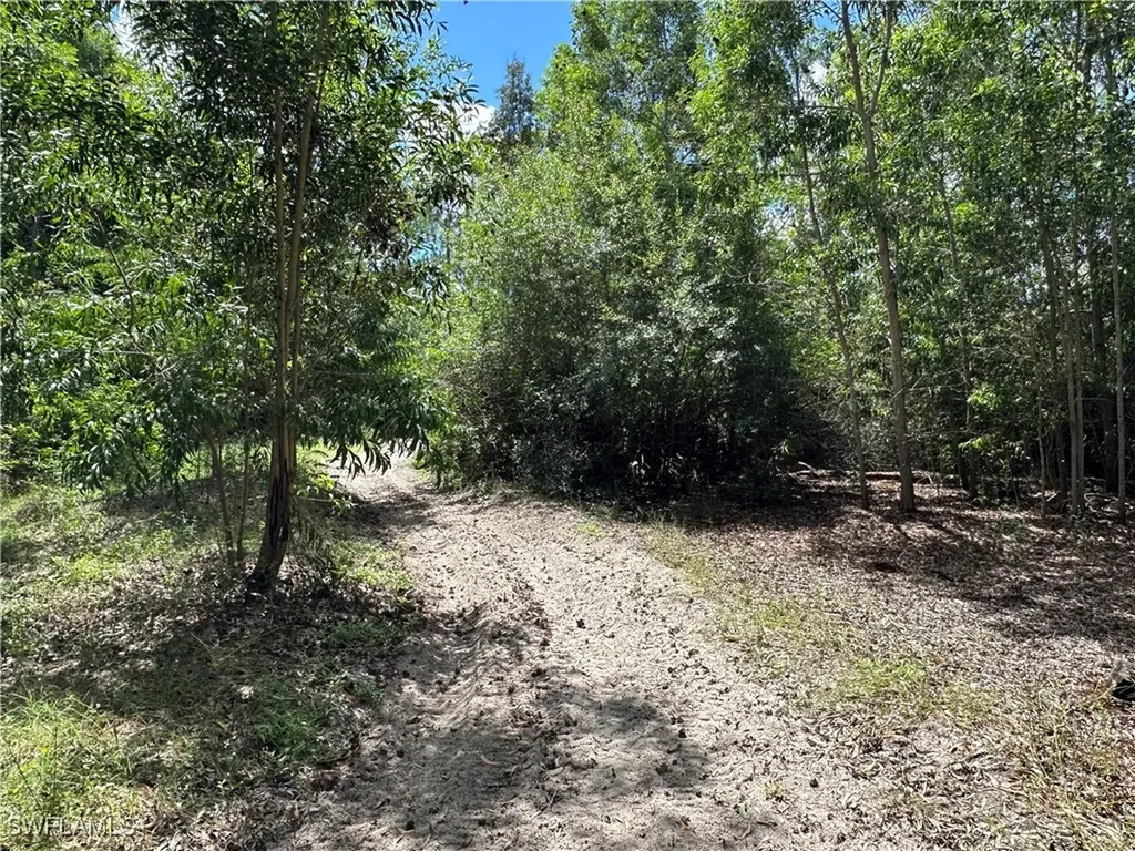 12880 Tower Road Bonita Springs FL 34135