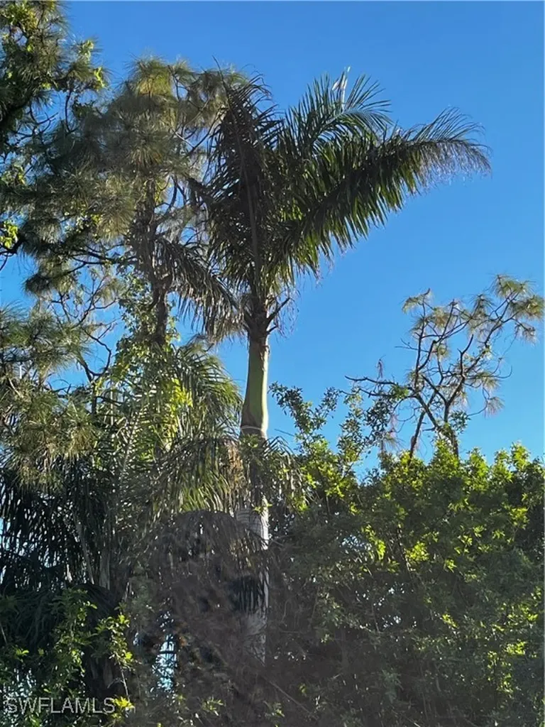 24033 Roger Dodger Bonita Springs FL 34135