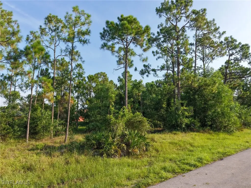 2430 Lola Avenue S Lehigh Acres FL 33973