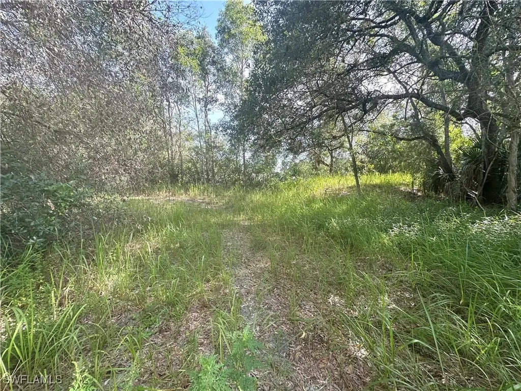 13030 Rio Grande Drive Bonita Springs FL 34135