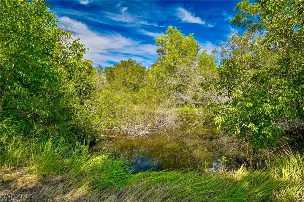 6570 Carmelita Drive Fort Myers FL 33905