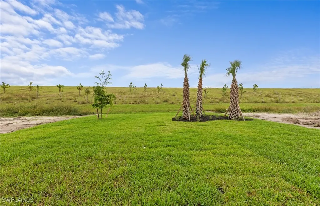 3861 Passion Vine Drive Alva FL 33920