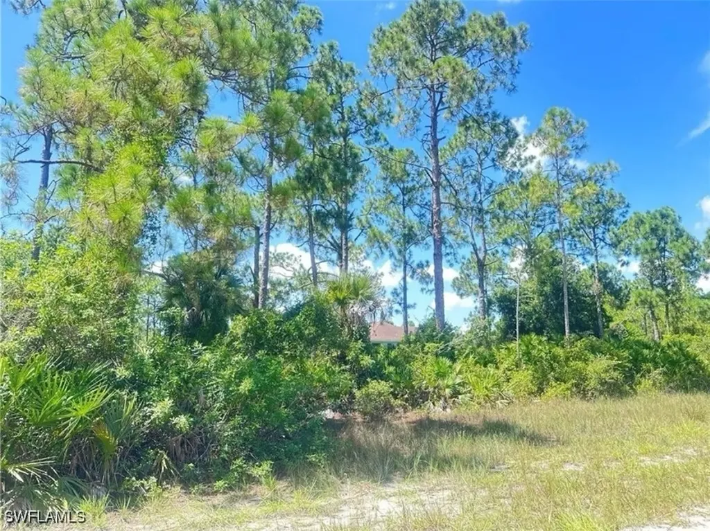 1005 W 18th Street Lehigh Acres FL 33972