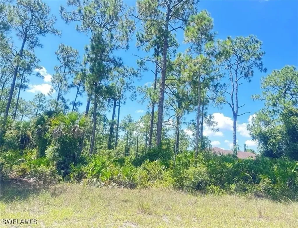 1005 W 18th Street Lehigh Acres FL 33972