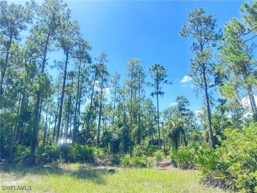 1005 W 18th Street Lehigh Acres FL 33972
