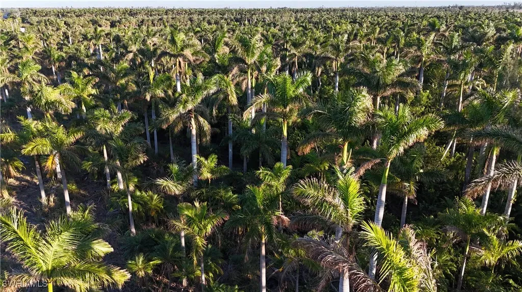 12990 Samadani Lane Bokeelia FL 33922