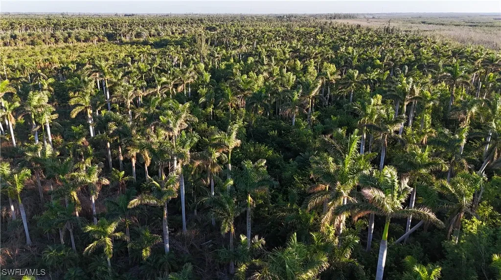 12990 Samadani Lane Bokeelia FL 33922