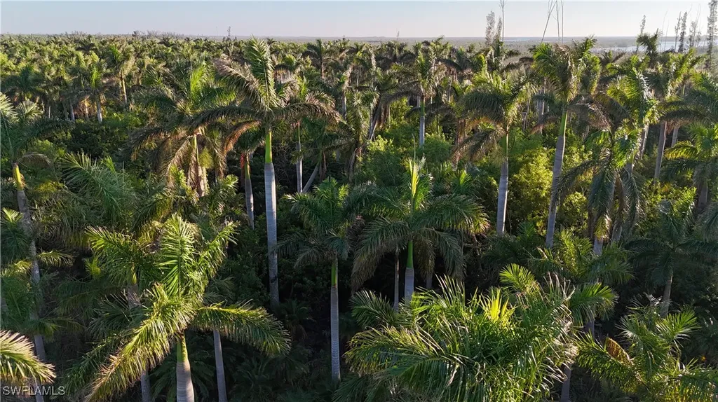 12990 Samadani Lane Bokeelia FL 33922