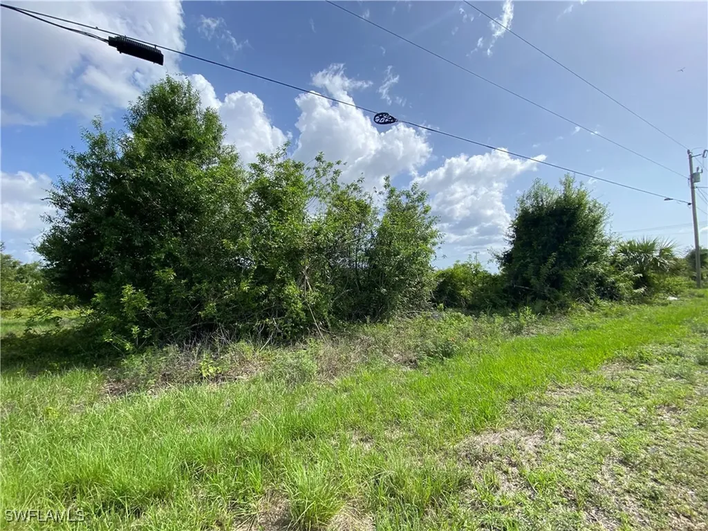 1204 Fontana Street E Lehigh Acres FL 33974