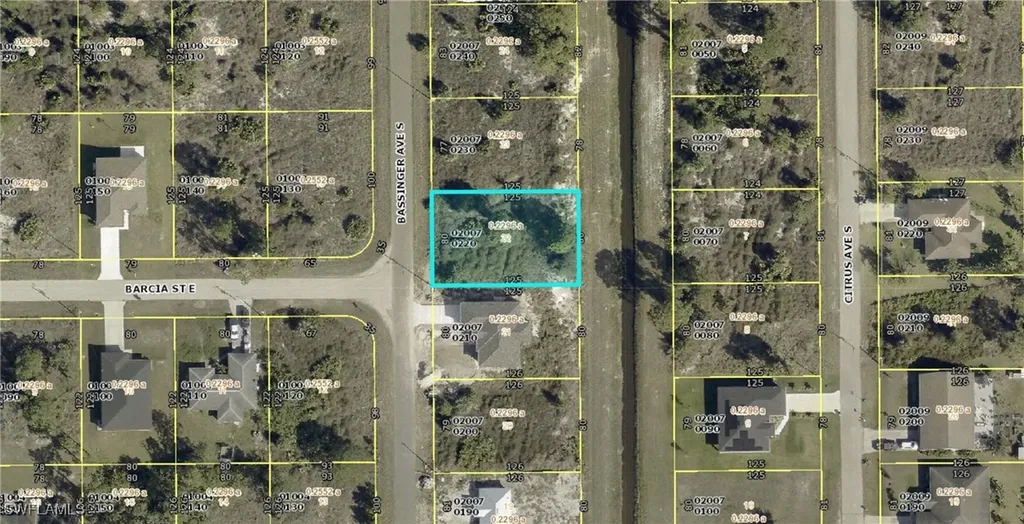 919 Bassinger Avenue S Lehigh Acres FL 33974
