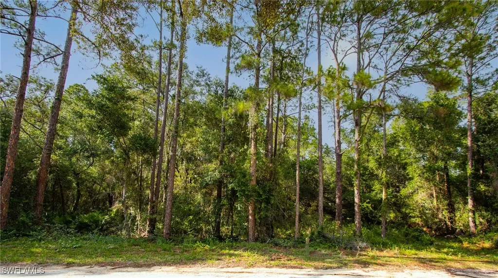 7176 Norway Street Webster FL 33597