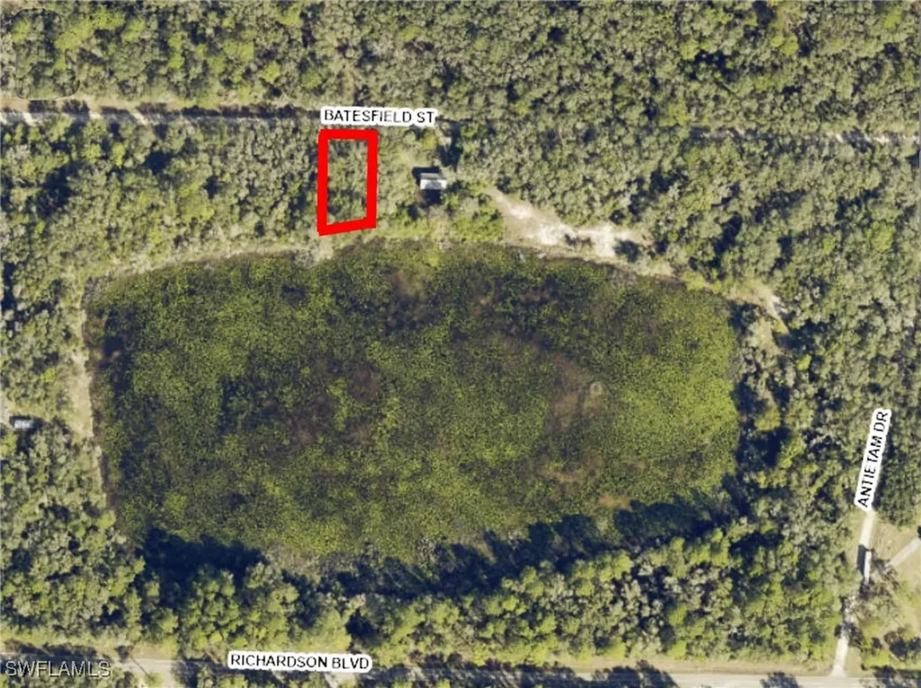 35034 Batesfield Street Webster FL 33597
