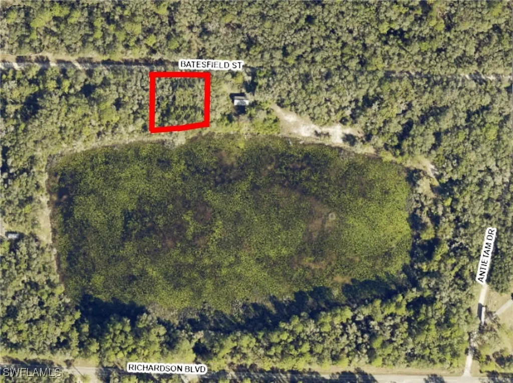 35034 Batesfield Street Webster FL 33597