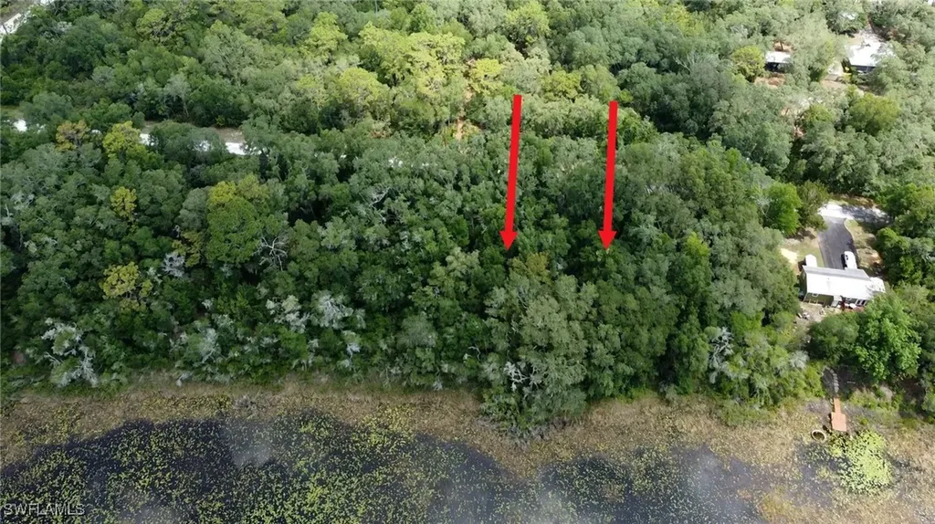 35034 Batesfield Street Webster FL 33597