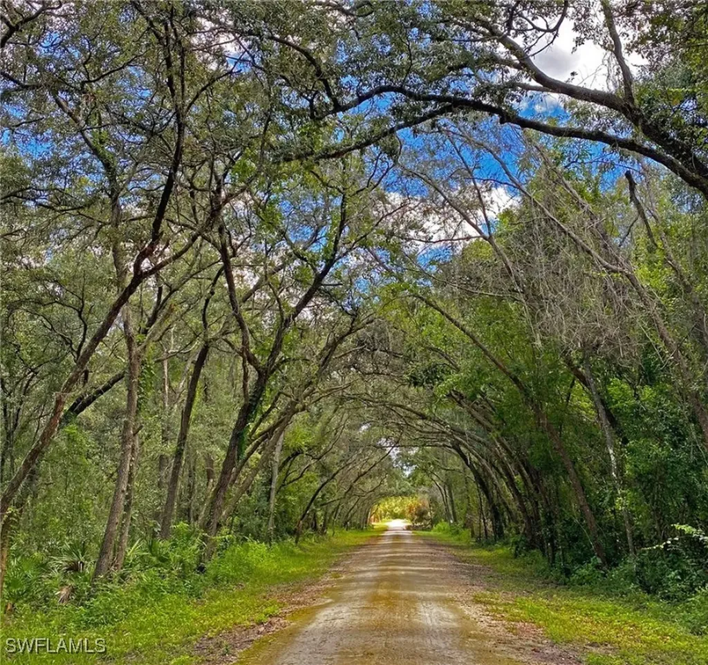 35084 Batesfield Street Webster FL 33597