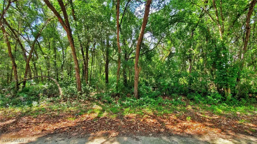 35084 Batesfield Street Webster FL 33597
