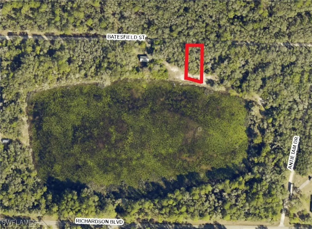 35084 Batesfield Street Webster FL 33597