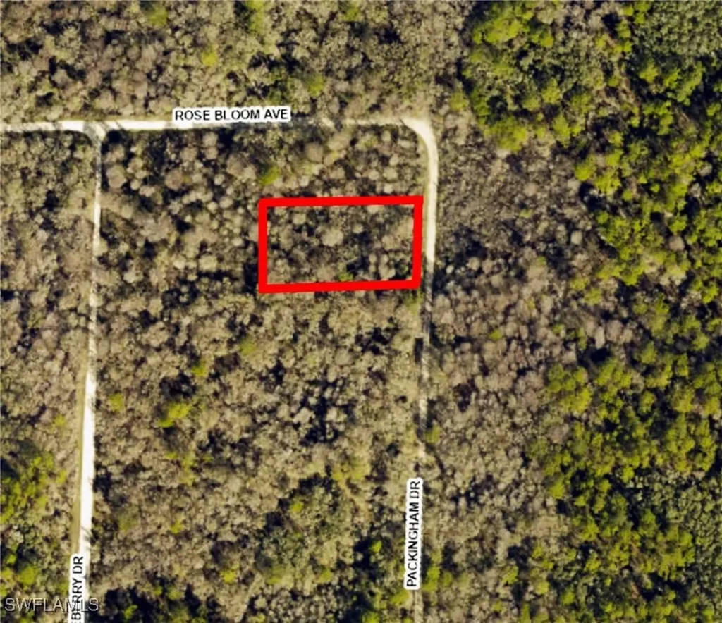 8009 Packingham Street Webster FL 33597