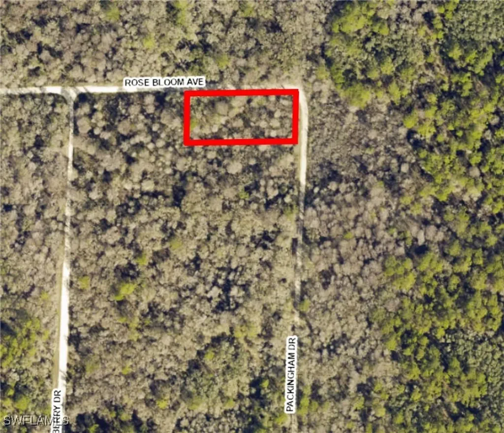 33464 Packingham Drive Webster FL 33597
