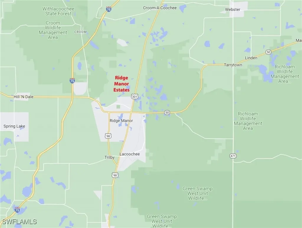 33464 Packingham Drive Webster FL 33597