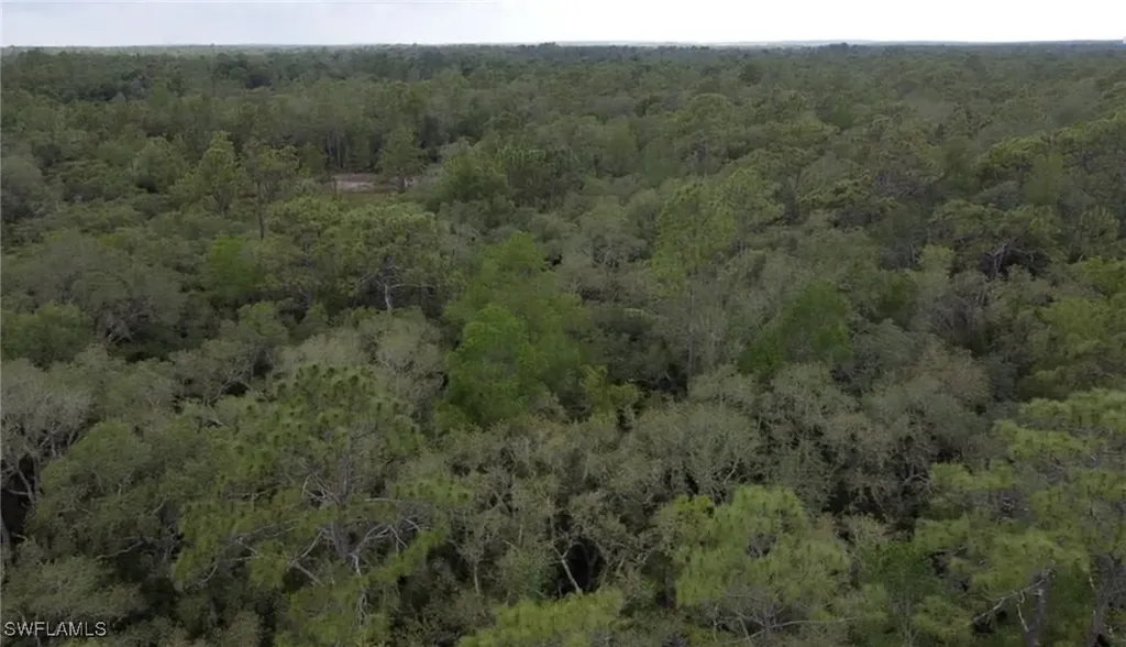 34287 Berryhill Drive Webster FL 33597