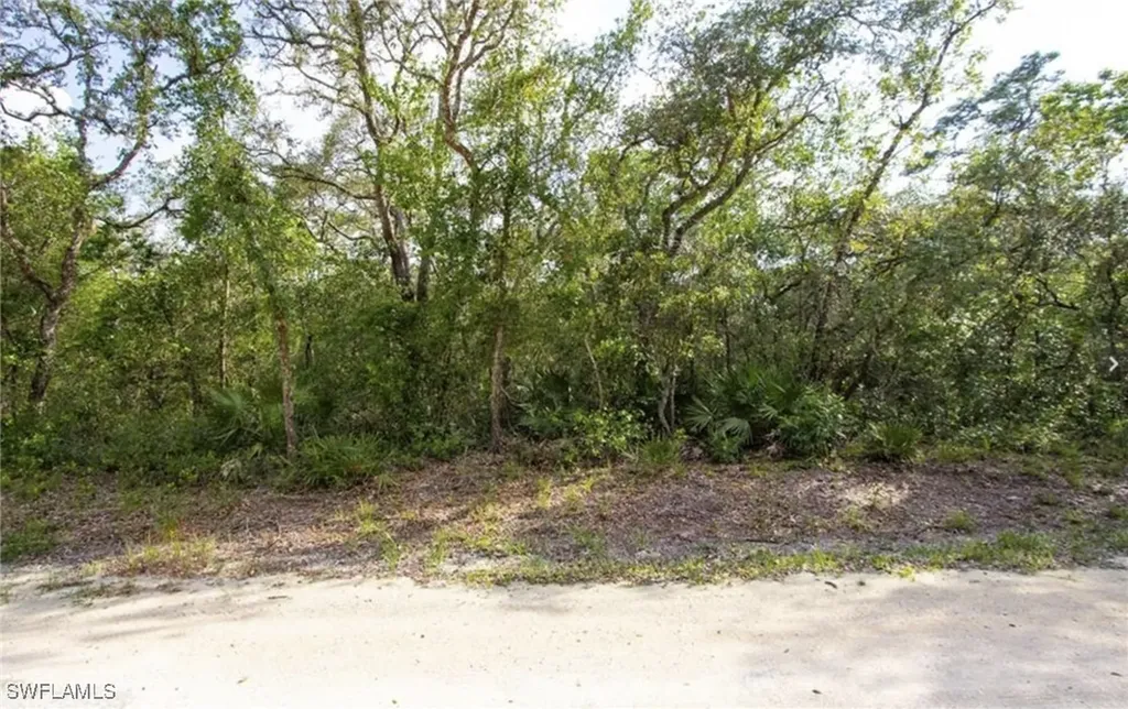 34287 Berryhill Drive Webster FL 33597