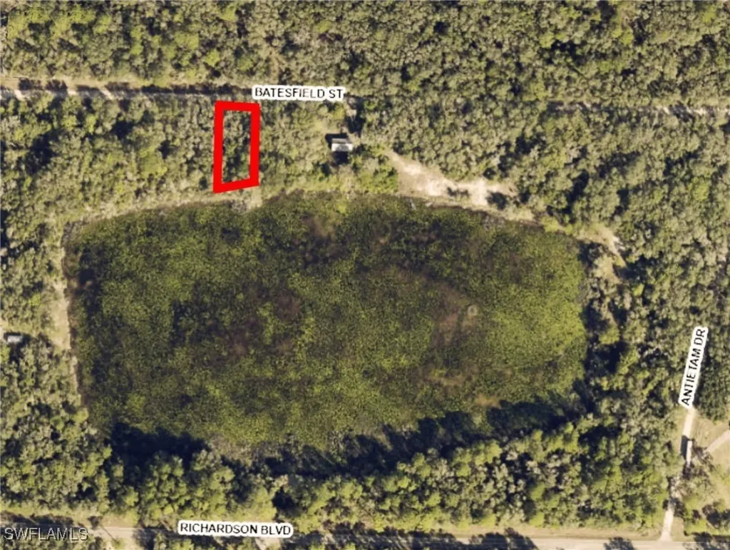 35028 Batesfield Street Webster FL 33597