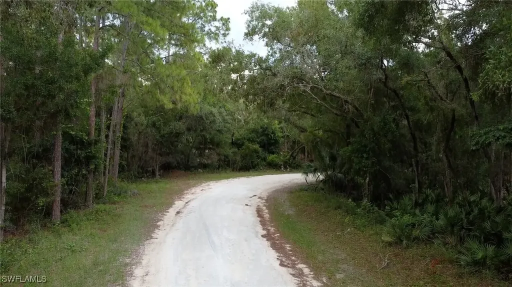7200 Norway Street Webster FL 33597