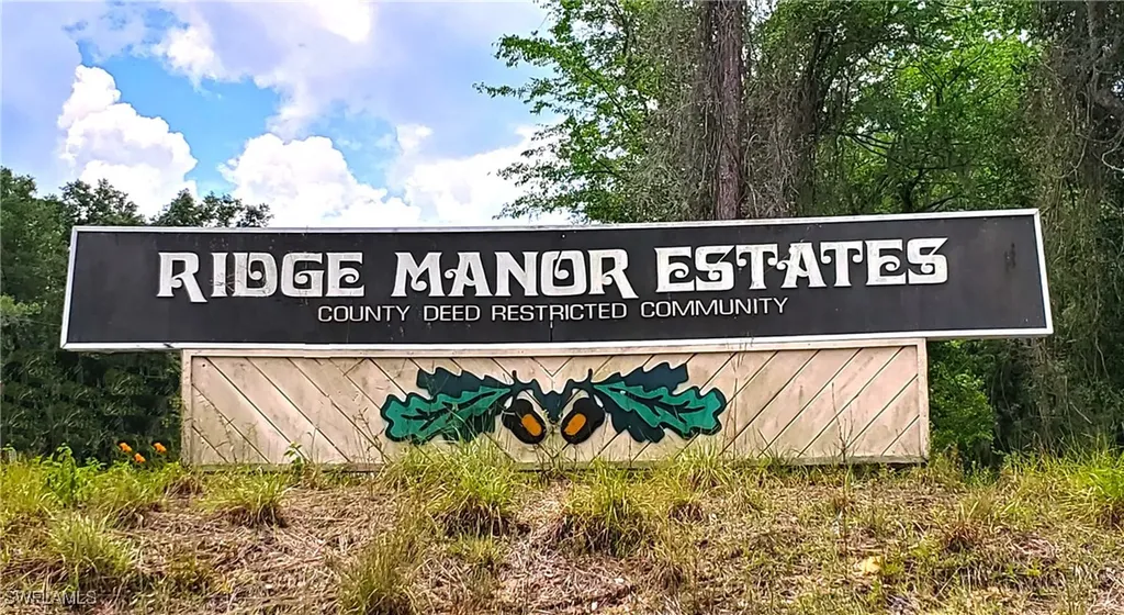 7200 Norway Street Webster FL 33597