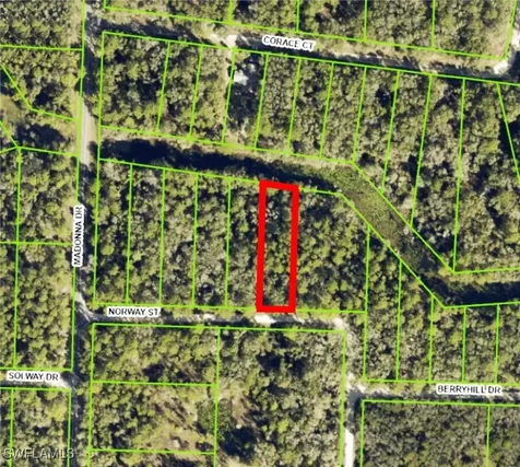 7200 Norway Street Webster FL 33597