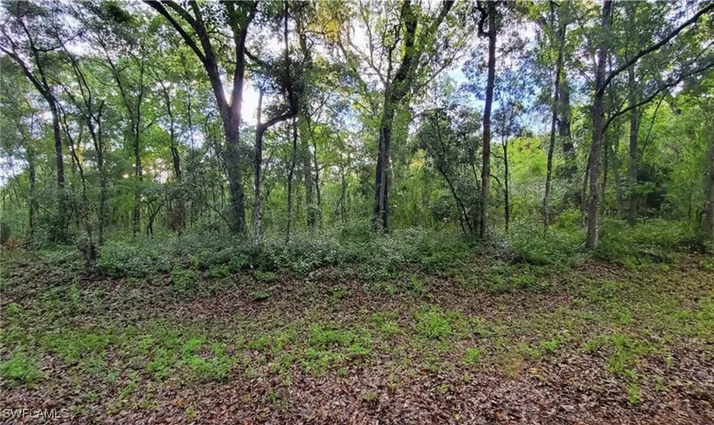 0 Kenyon Drive Webster FL 33597