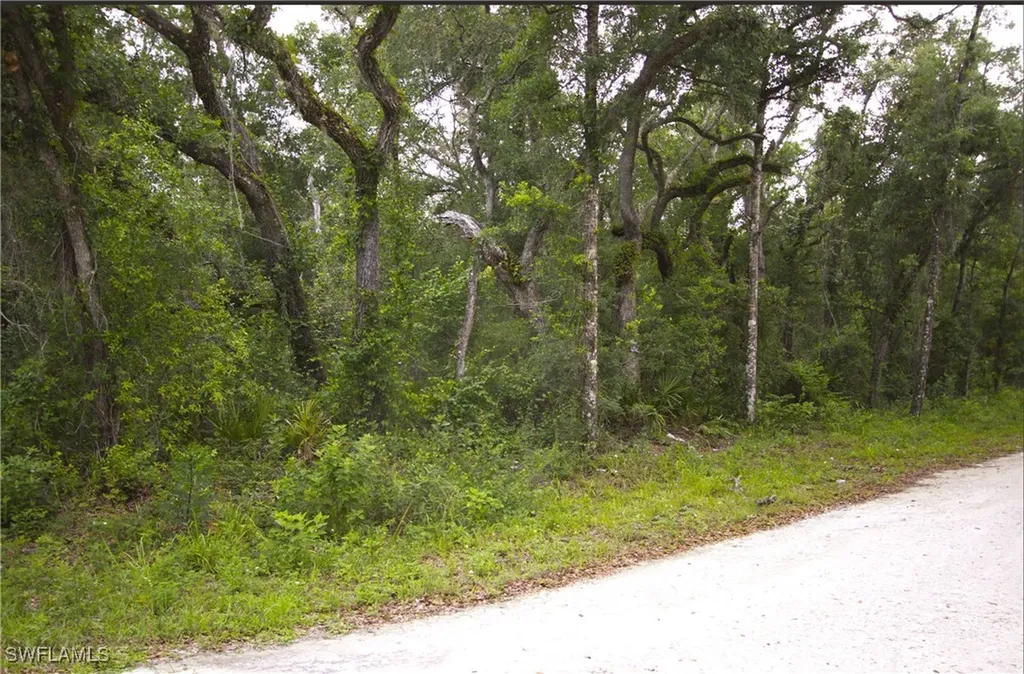 7466 Northwest Avenue Webster FL 33597
