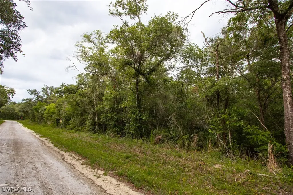 7398 Southeast Avenue Webster FL 33597
