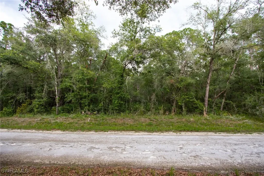 7406 Southeast Avenue Webster FL 33597