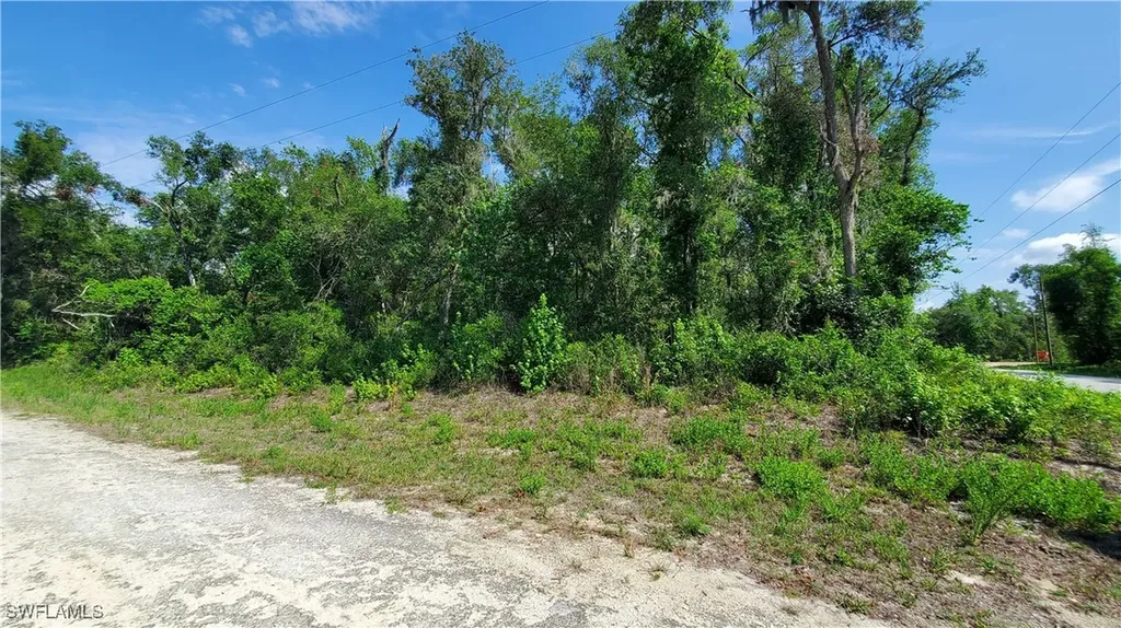 7475 Shasta Street Webster FL 33597