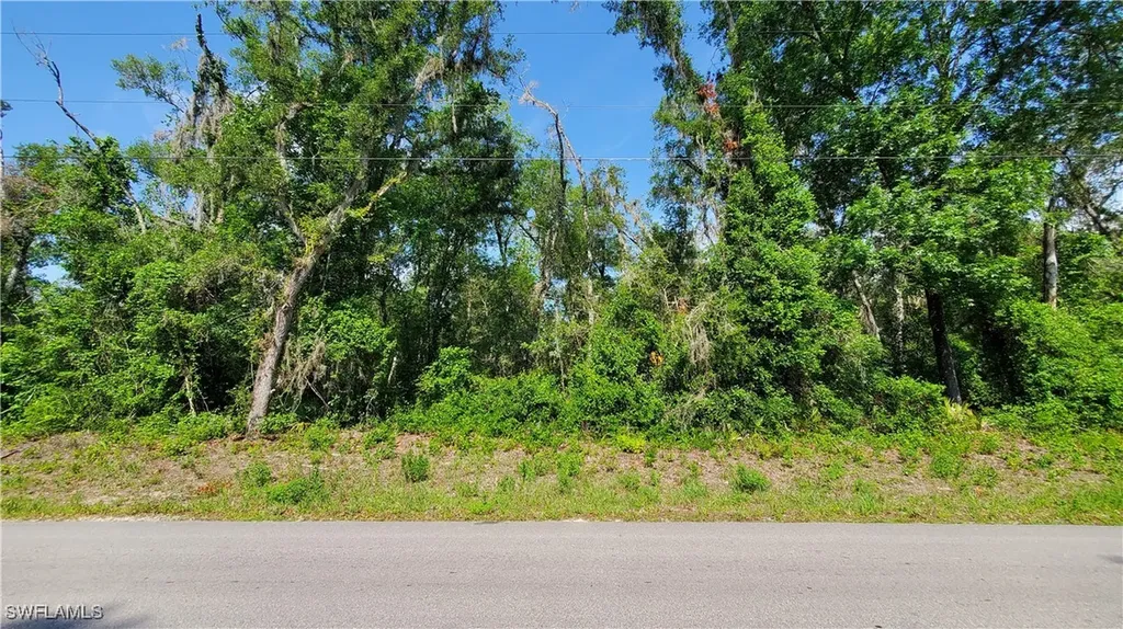 7475 Shasta Street Webster FL 33597