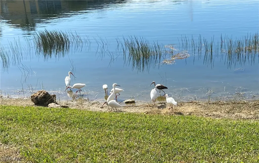 1250 Yesica Ann Circle Naples FL 34110