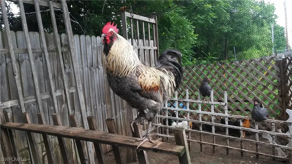 185 Appaloosa Avenue Clewiston FL 33440