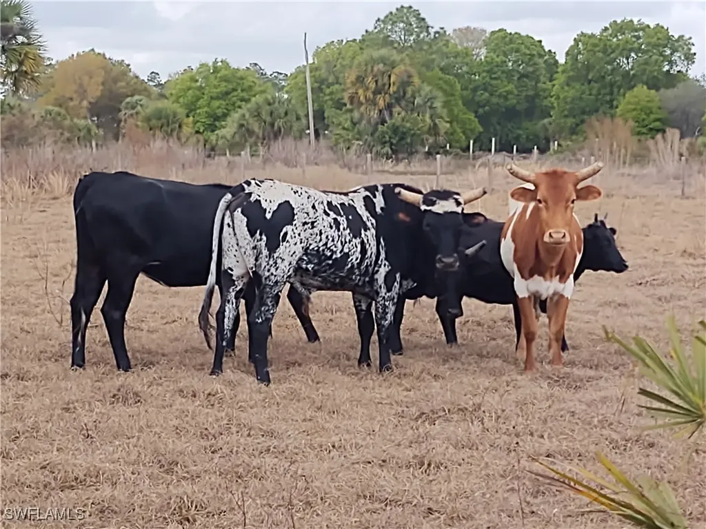 185 Appaloosa Avenue Clewiston FL 33440