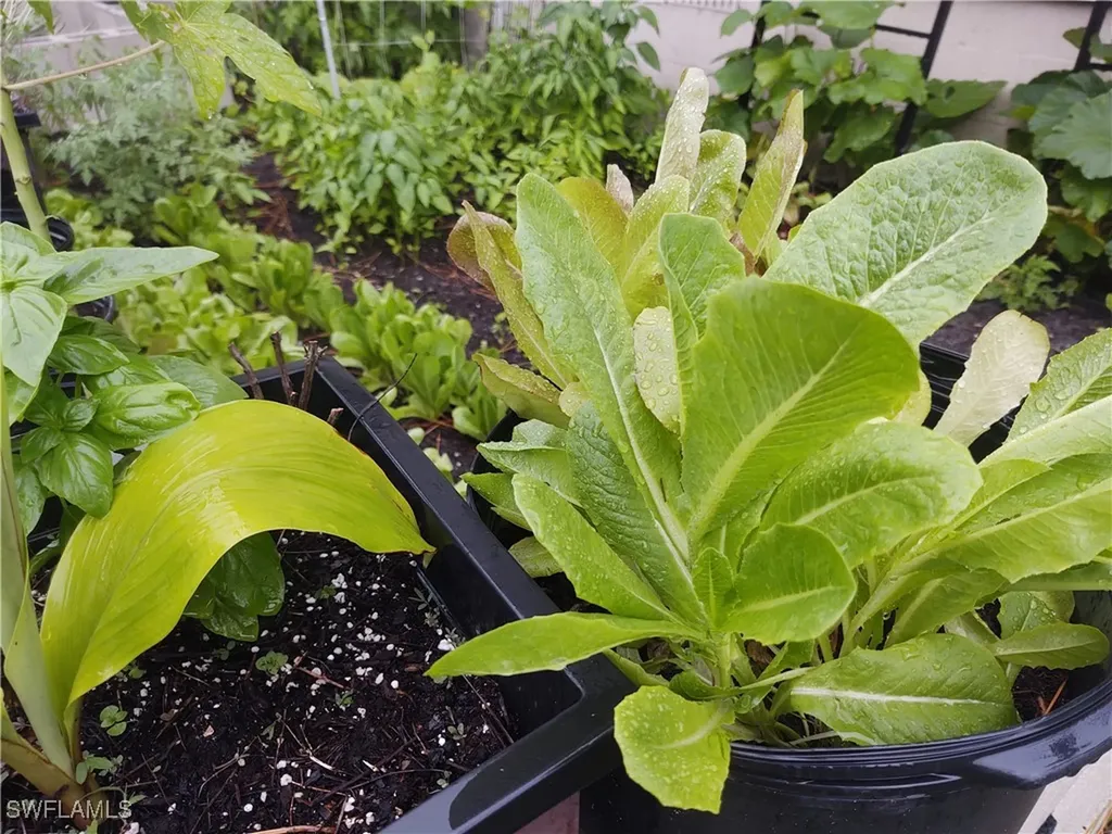 185 Appaloosa Avenue Clewiston FL 33440