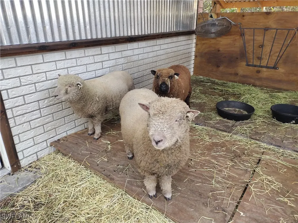 185 Appaloosa Avenue Clewiston FL 33440