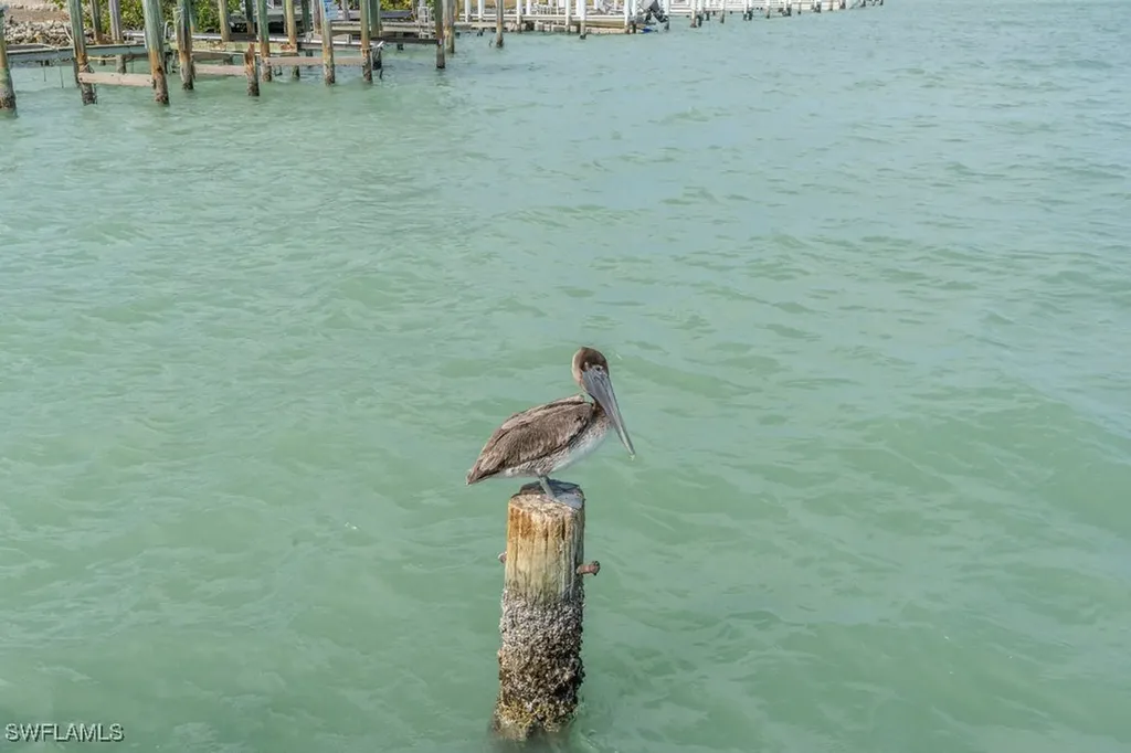 10 Tampa Place Marco Island FL 34145