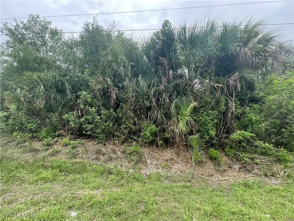 1000 W 14th Street Lehigh Acres FL 33972