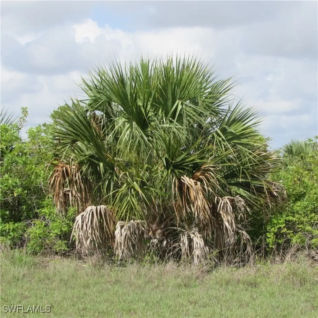 4410 Connection Avenue Cape Coral FL 33909