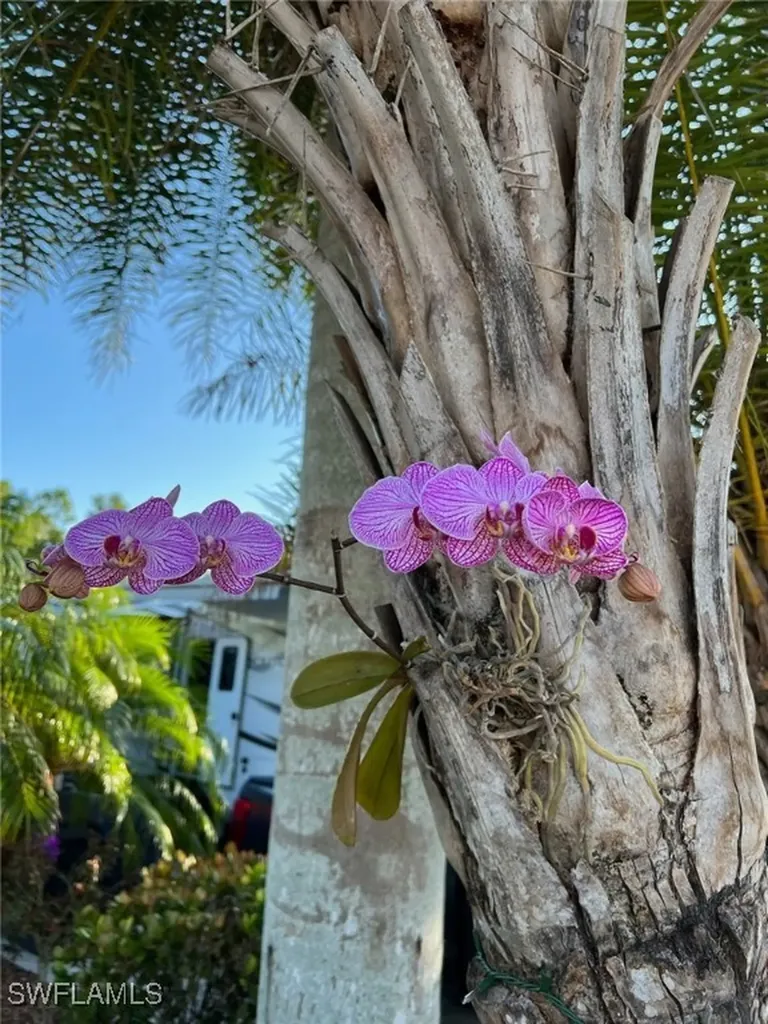 10339 Prairie Iris Trail Fort Myers FL 33905