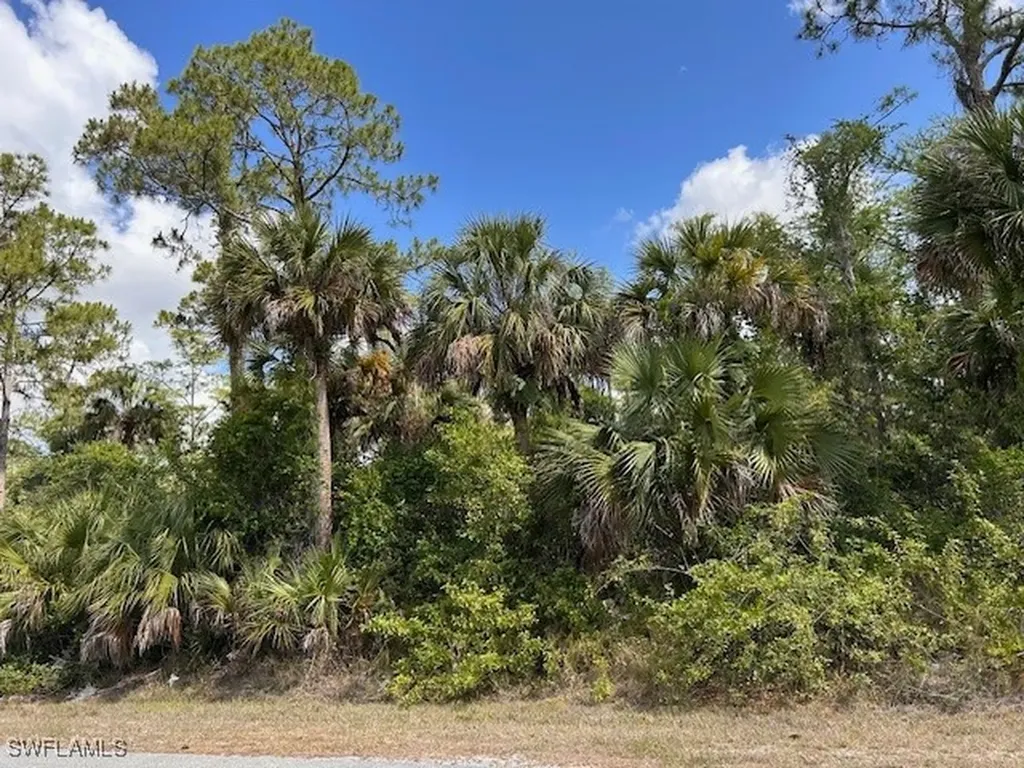 27XX 18th Avenue NE Naples FL 34120