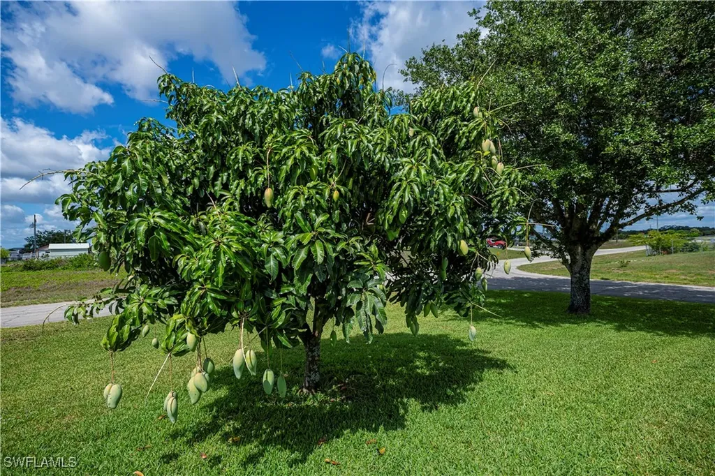 1115 Comet Avenue Labelle FL 33935